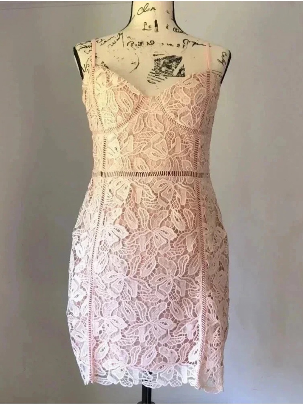 Just Me Blush Pink Lace Mini Dress